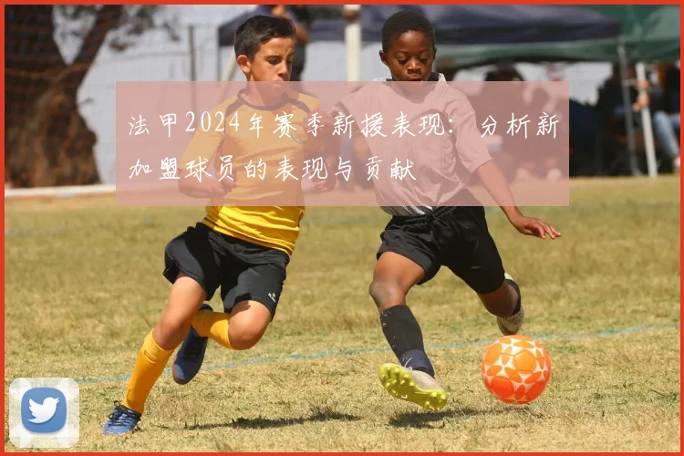 法甲2024年赛季新援表现：分析新加盟球员的表现与贡献