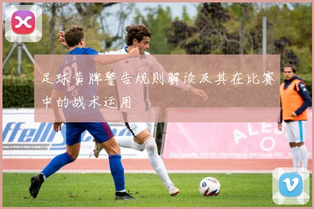 足球黄牌警告规则解读及其在比赛中的战术运用